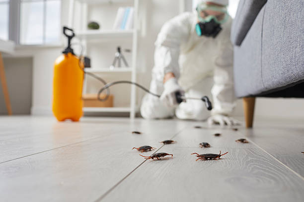 Trusted Fumigation Services service in West Hurley, NY - Nex Pest Control
